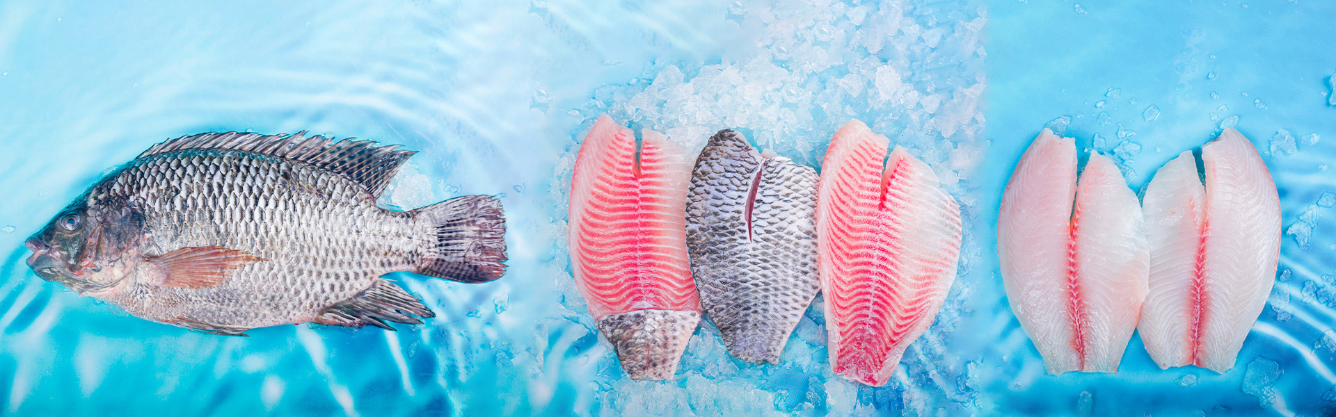 上?；椴?>
  </div>	
<div   id=